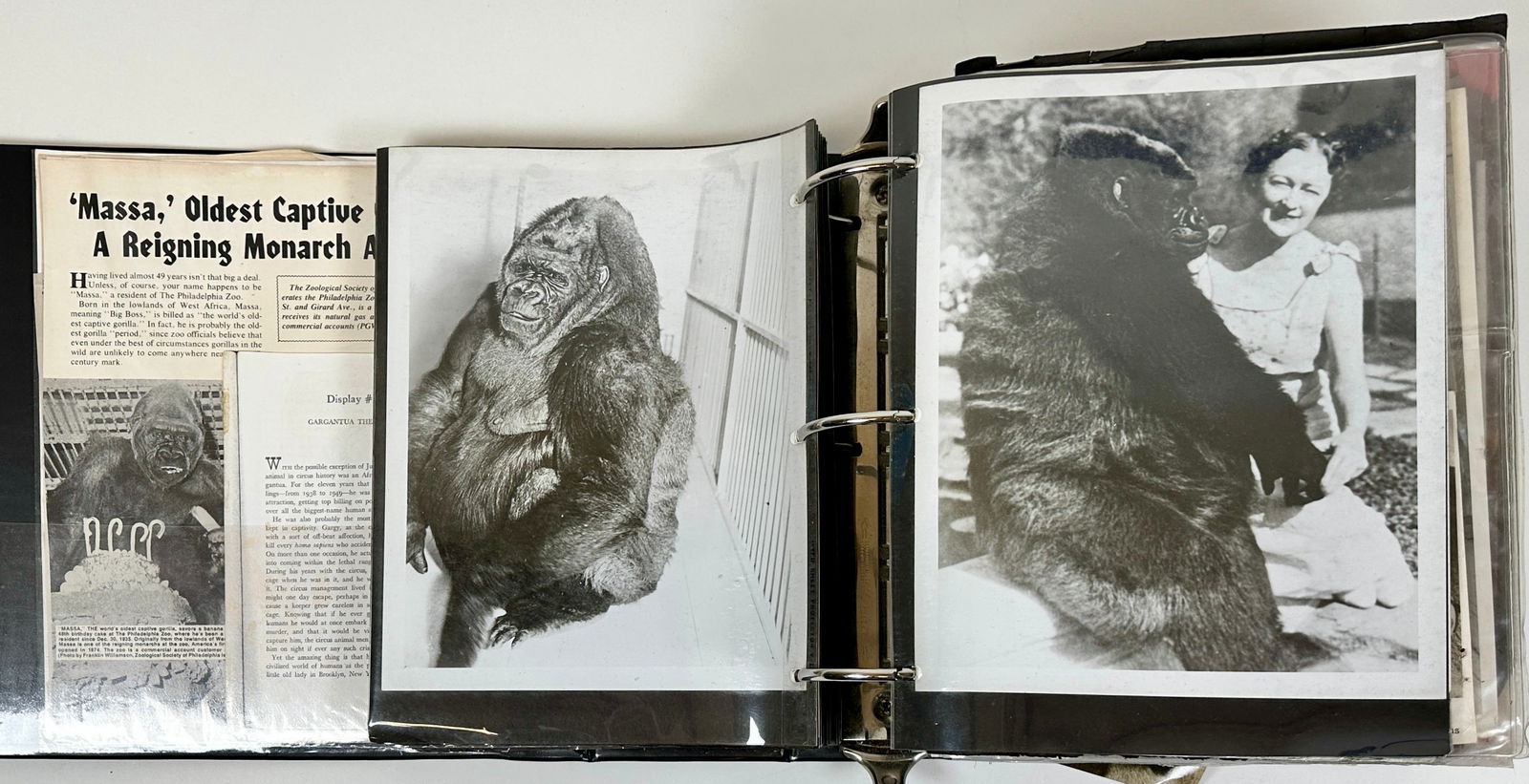 ROBERT F. HOUSTON CIRCUS ARHIVE - GARGANTUA (1 of 6)