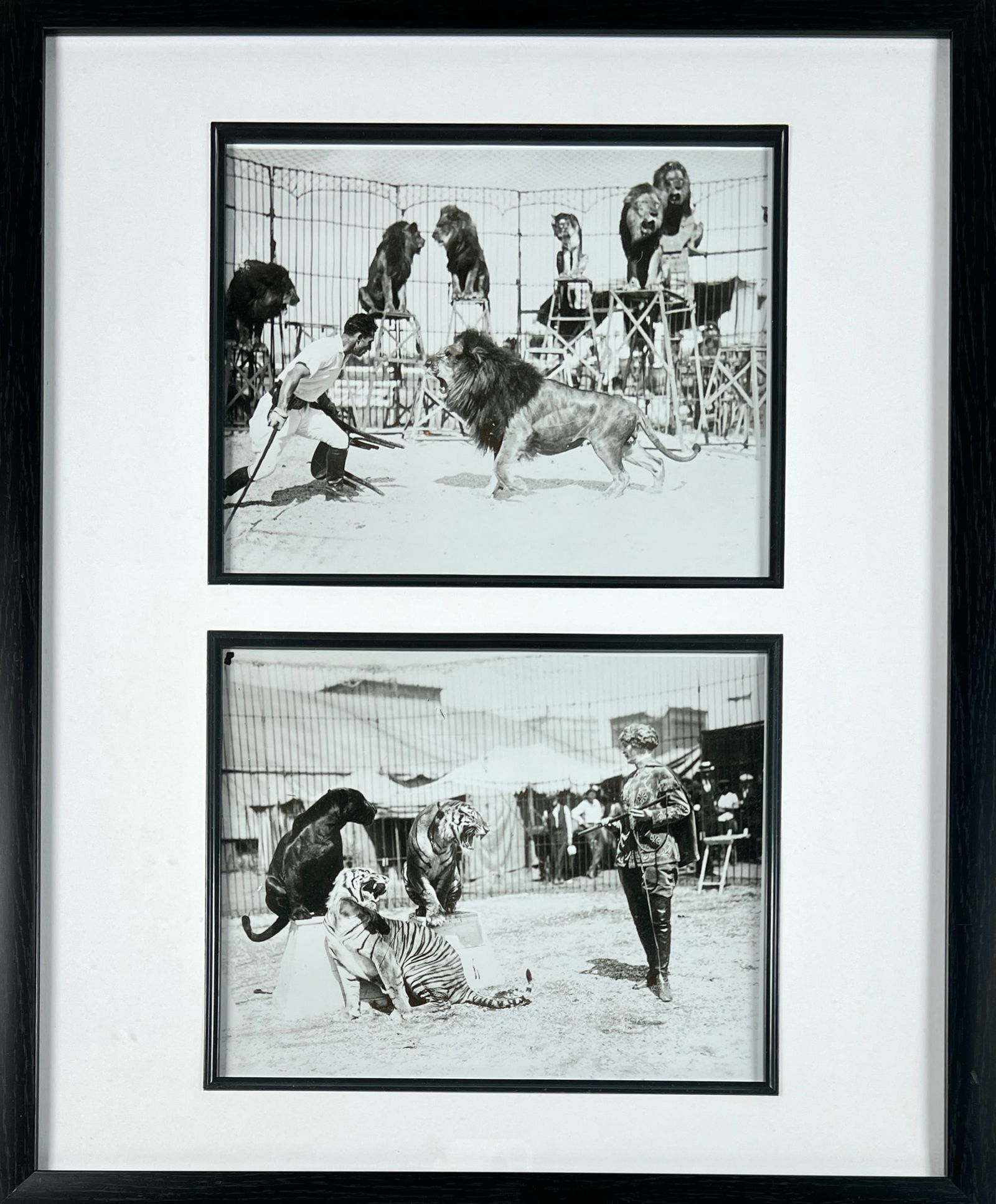 CLYDE BEATTY - MABLE STARCK PHOTOGRAPH (1 of 1)