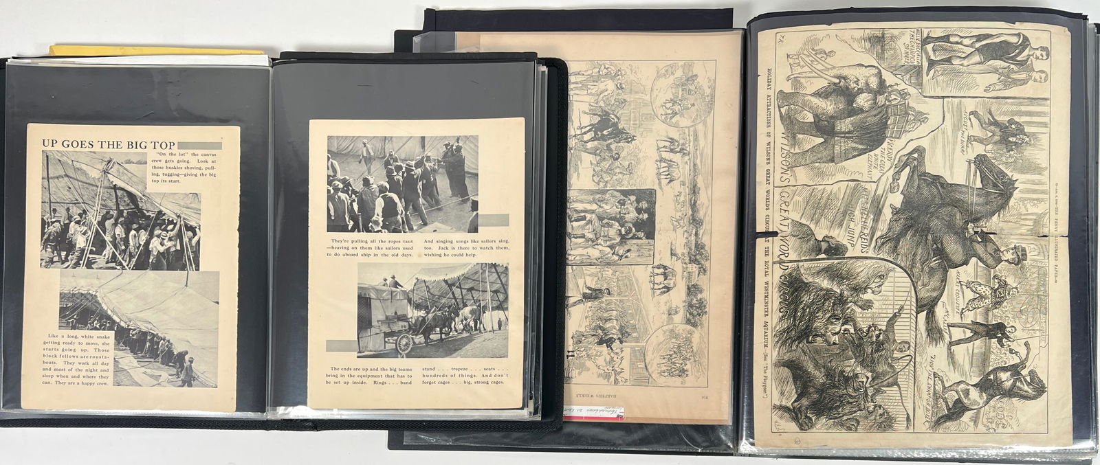 CIRCUS ARTS COLLECTION (1 of 6)