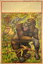 1920'S DONALDSON LITHO STOCK CIRCUS POSTER