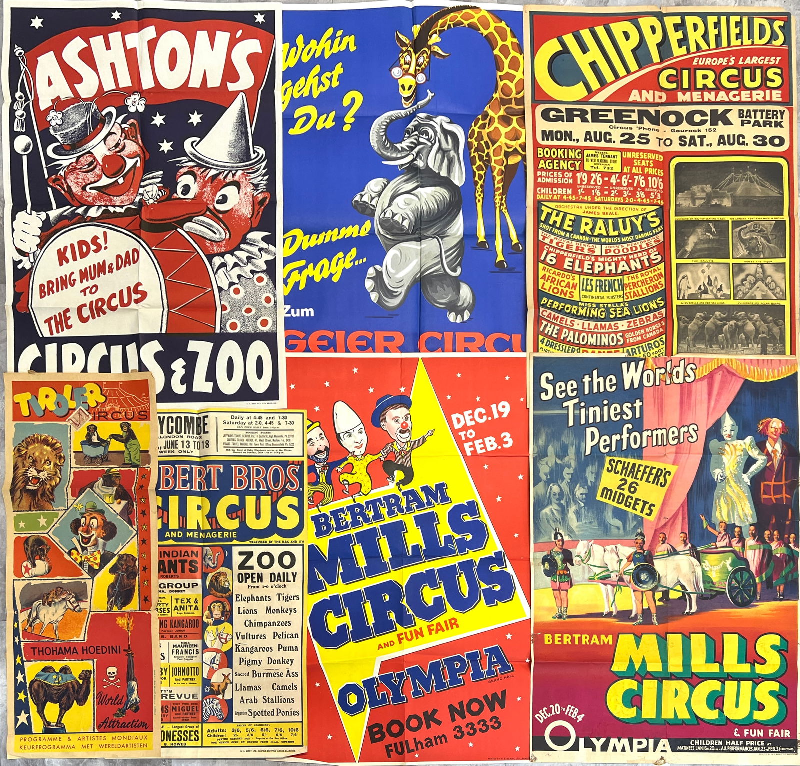 COLLECTION OF INTERNATIONAL CIRCUS POSTERS (1 of 1)