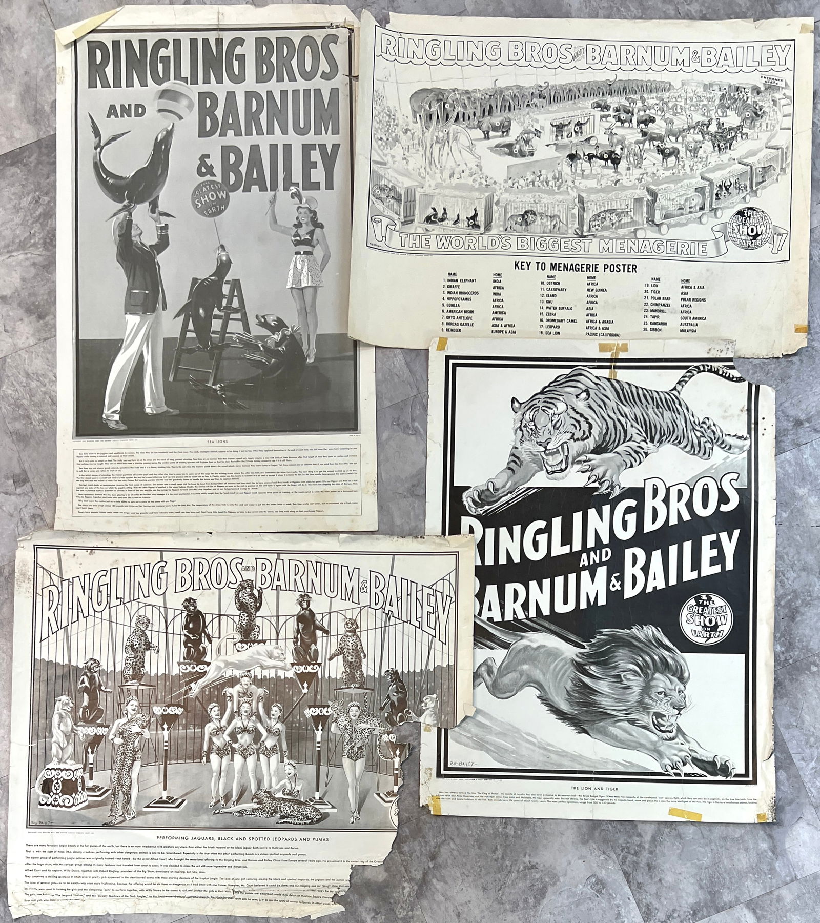 RINGLING BROS. BARNUM BAILEY CIRCUS POSTERS (1 of 1)
