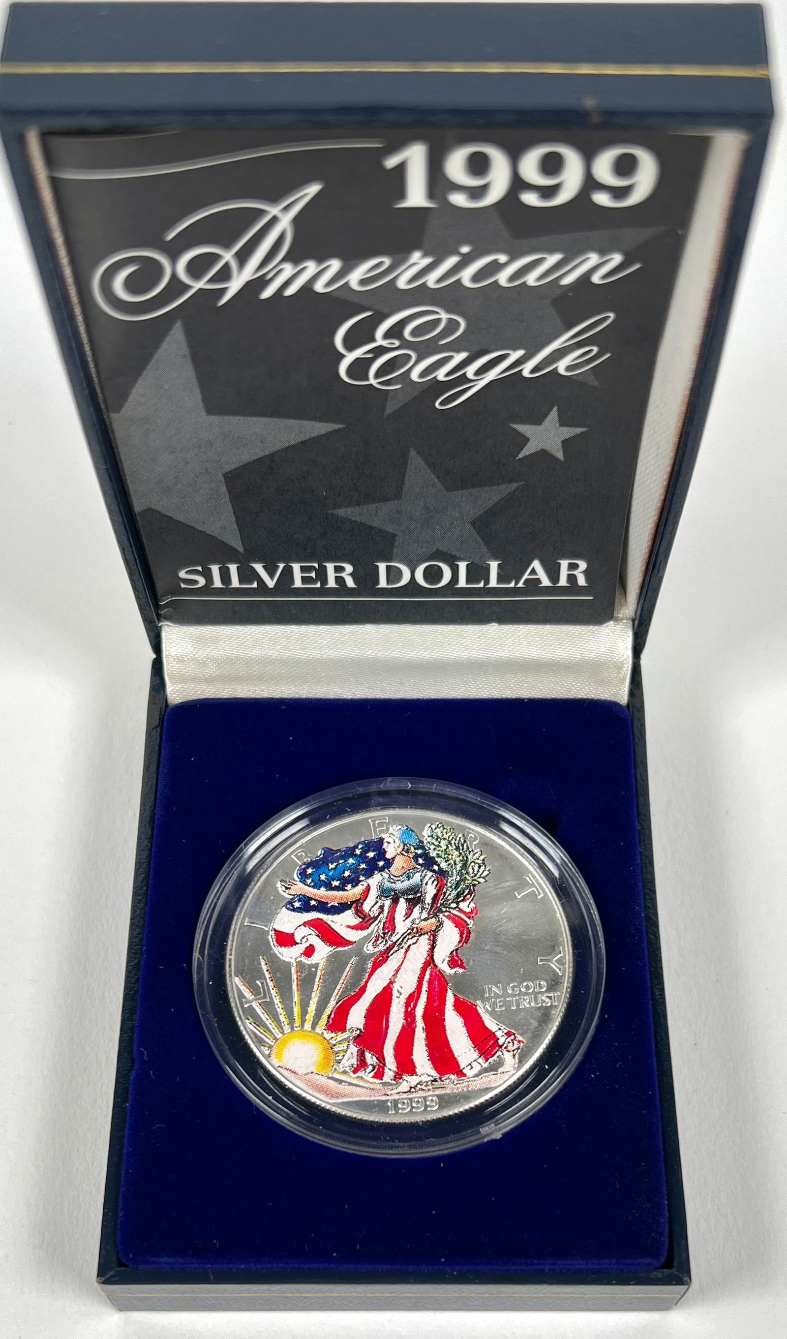 1999 COLORIZED AMERICAN SILVER EAGLE COIN (1 of 1)