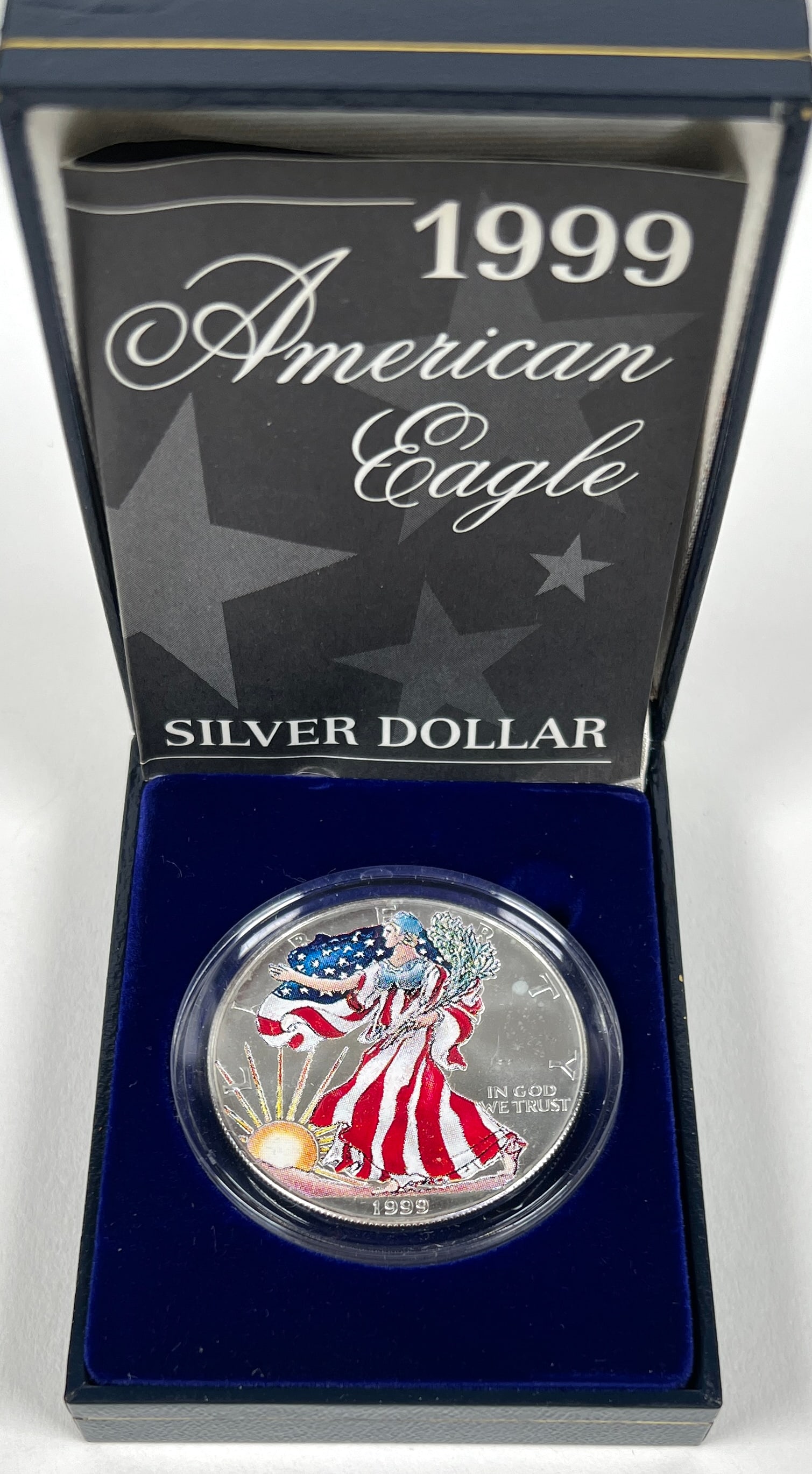 1999 COLORIZED AMERICAN SILVER EAGLE COIN (1 of 1)