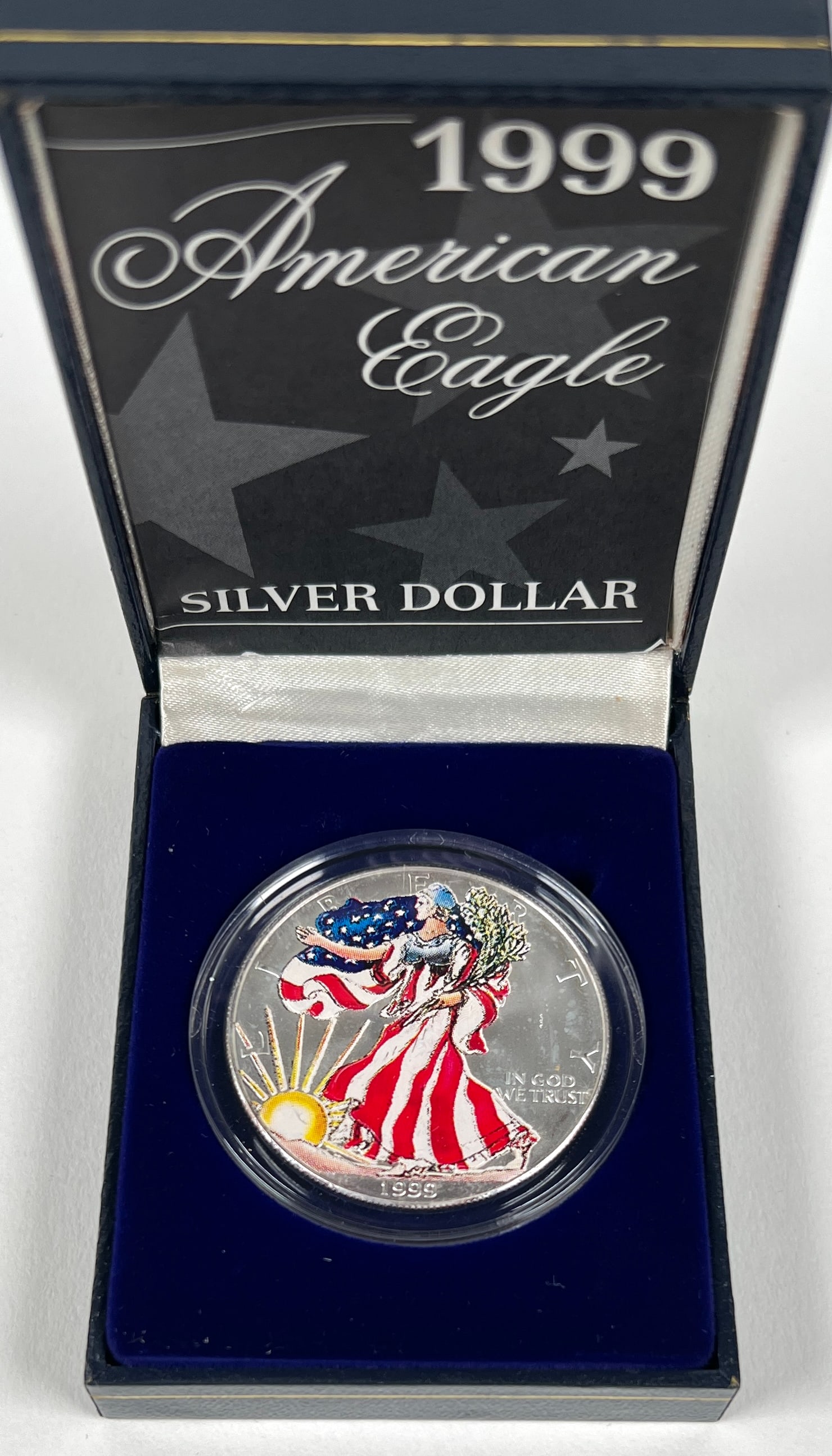 1999 COLORIZED AMERICAN SILVER EAGLE COIN (1 of 1)