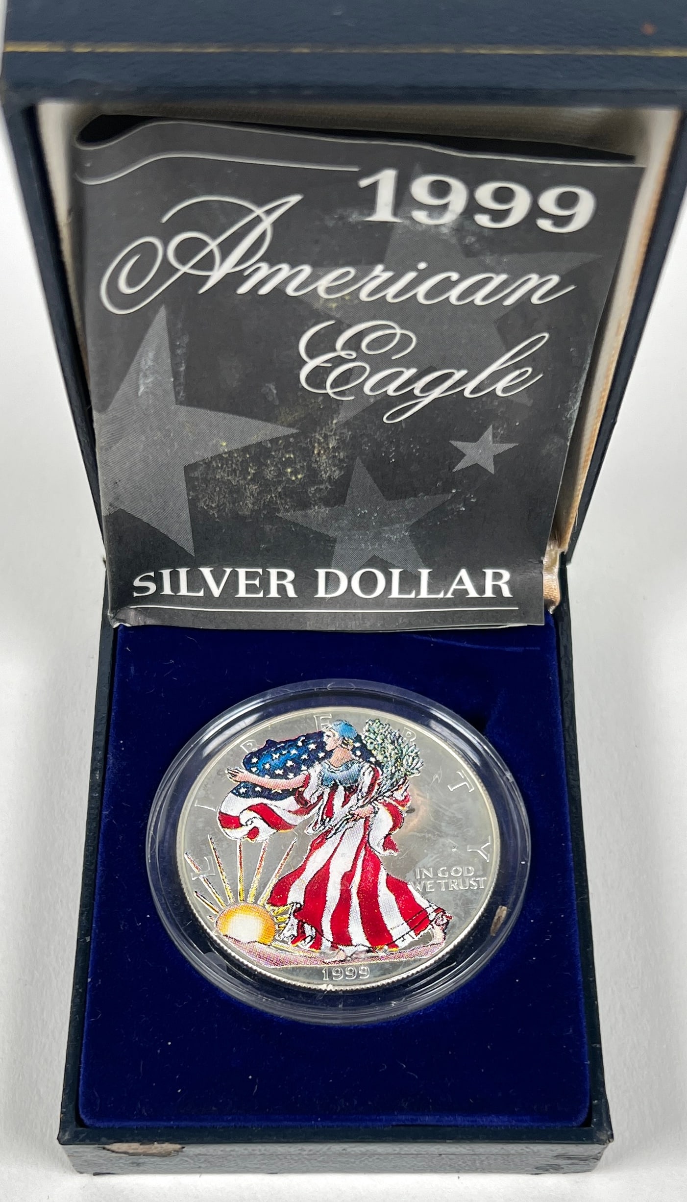 1999 COLORIZED AMERICAN SILVER EAGLE COIN (1 of 1)