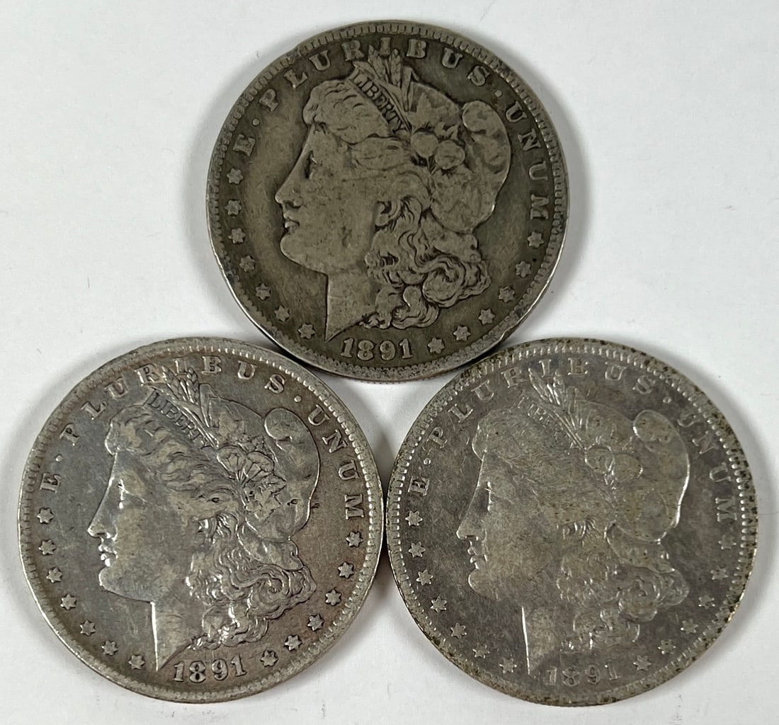 1891 MORGAN SILVER DOLLARS (1 of 1)