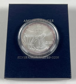 2006-W AMERICAN SILVER EAGLE