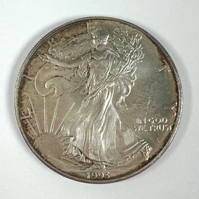 1993 AMERICAN SILVER EAGLE