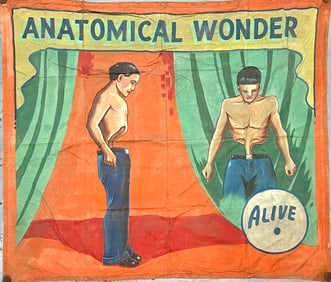 Sideshow Banner - Anatomical Wonder - Snap Wyatt