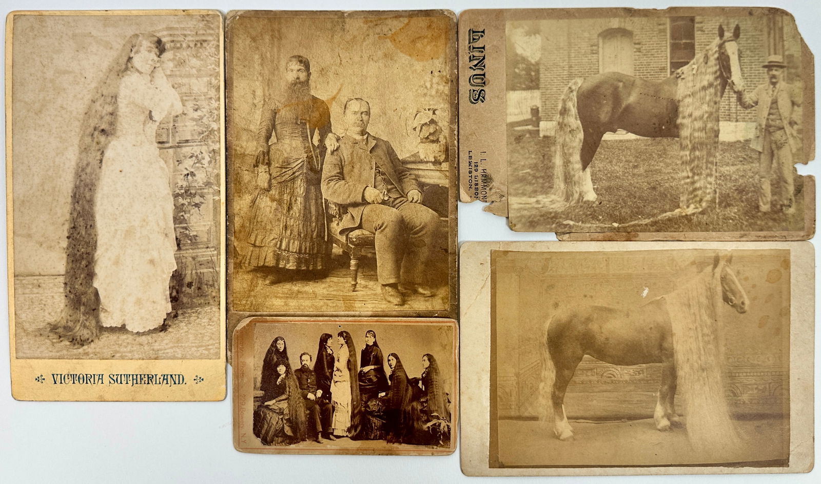 Hair - Sideshow Oddity Photographs (1 of 5)