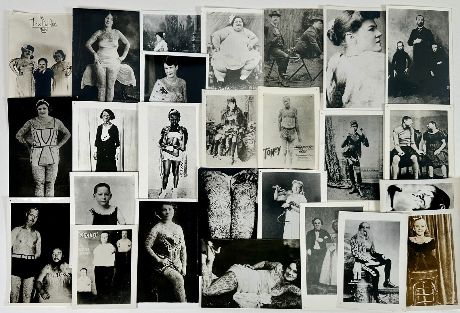 Sideshow and Oddites Photographs (1 of 1)