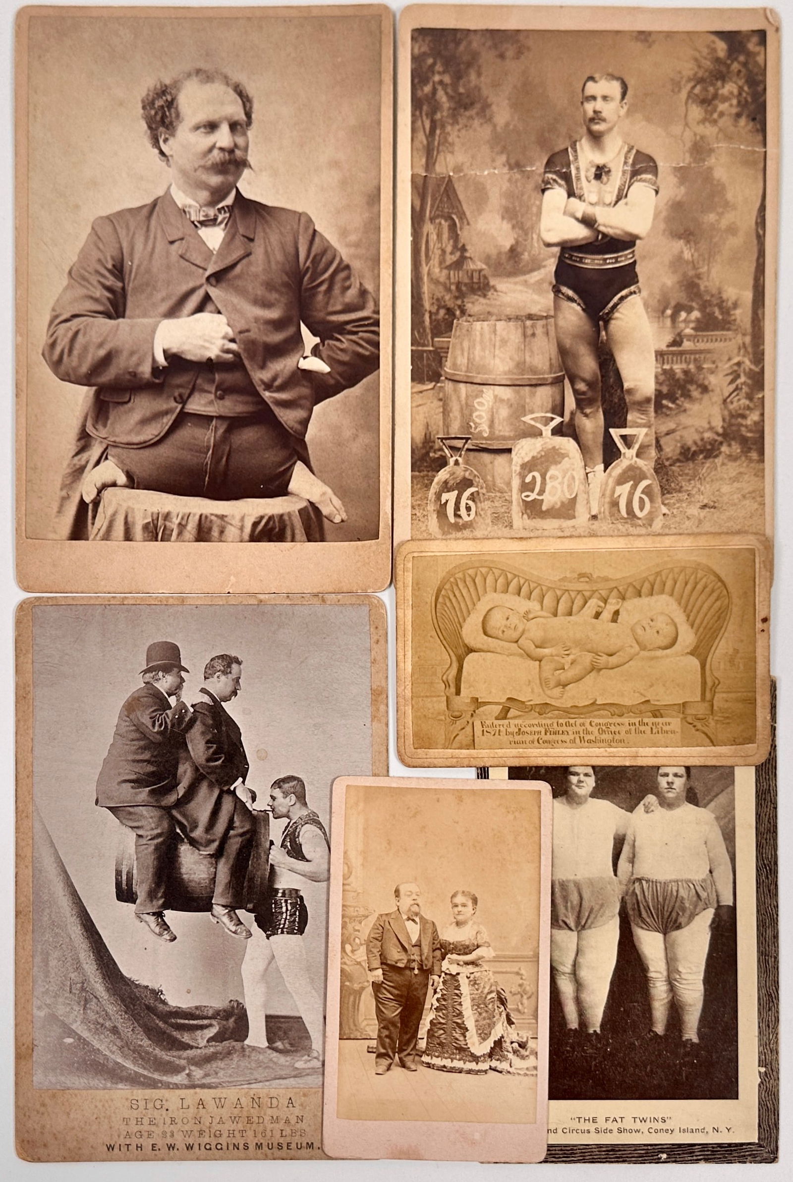 Sideshow and Oddity Cabinet Photographs (1 of 1)