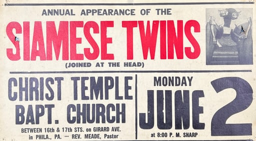 Siamese Twins Date Poster