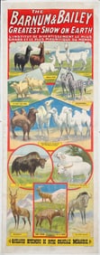Barnum & Bailey Circus Poster