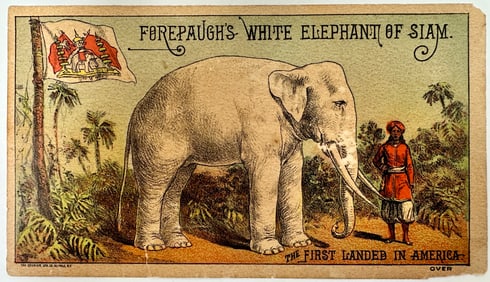 Forepaugh's White Elephant of Siam Handbill