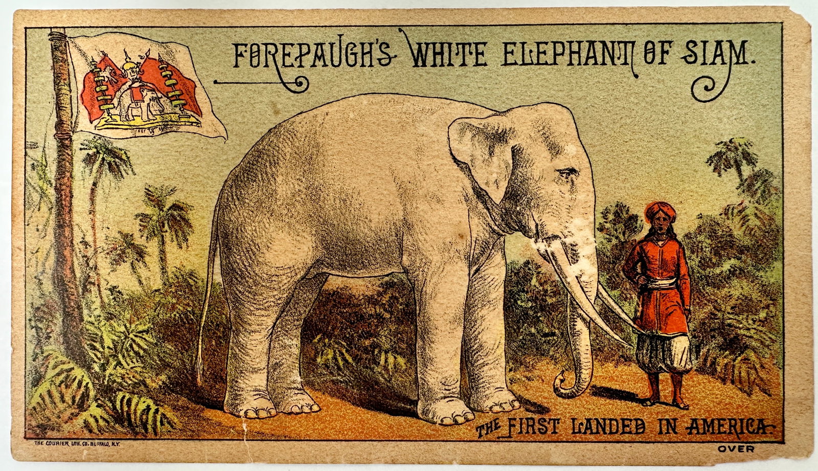 Forepaugh's White Elephant of Siam Handbill: Litho obverse with depiction of the Sacred White Elephant's first landing in America. Reverse with billing of the White Elephant "Light of Asia" the silvery sacred symbol of Siam. The Courier Co., 188