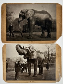Jumbo Cabinet Photographs