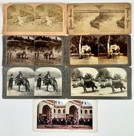 Zoological Circus Stereoview Cards
