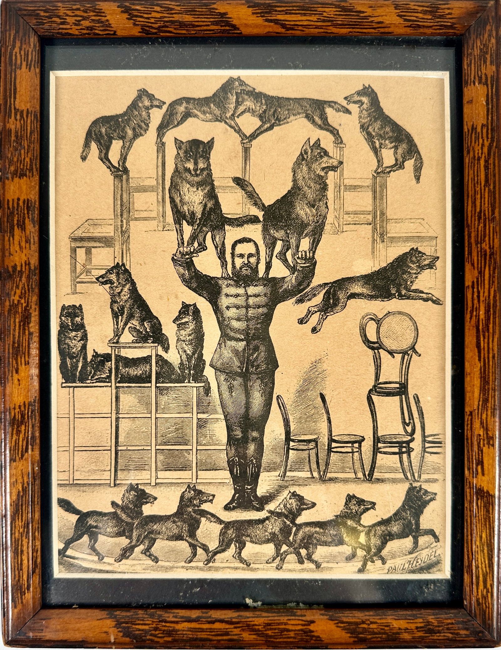 LesLepus Du Circus - Cirque D'Hiver Woodcut: Paul Heydel (1854-1935) woodcut of Rudesindo Rouch with wolves, 1888. Framed, 7"x9"