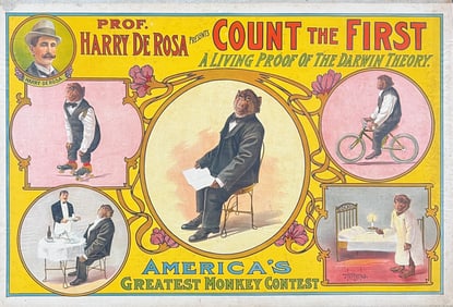 Prof. Harry De Rosa - Count the First Poster
