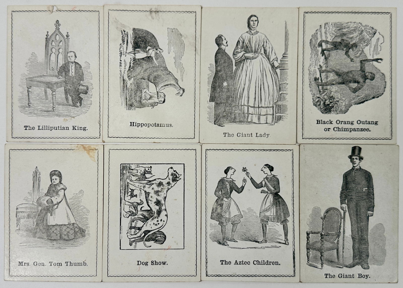 Novelty Oddities Cards (1 of 2)