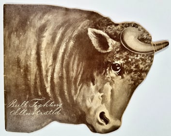 Bull Fighting Illustrated