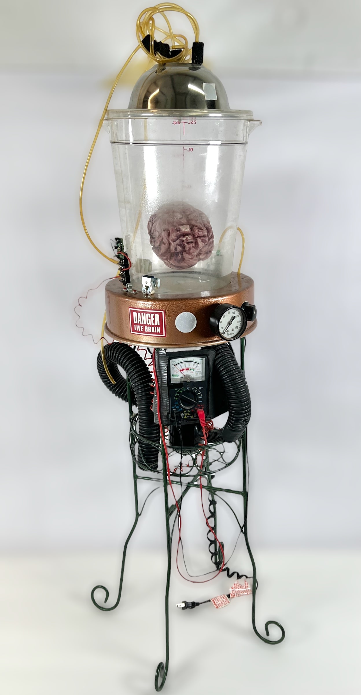 Atomic Brain Specimen Gaff (1 of 3)