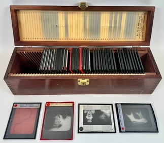 Anatomical Views on Glass Slides