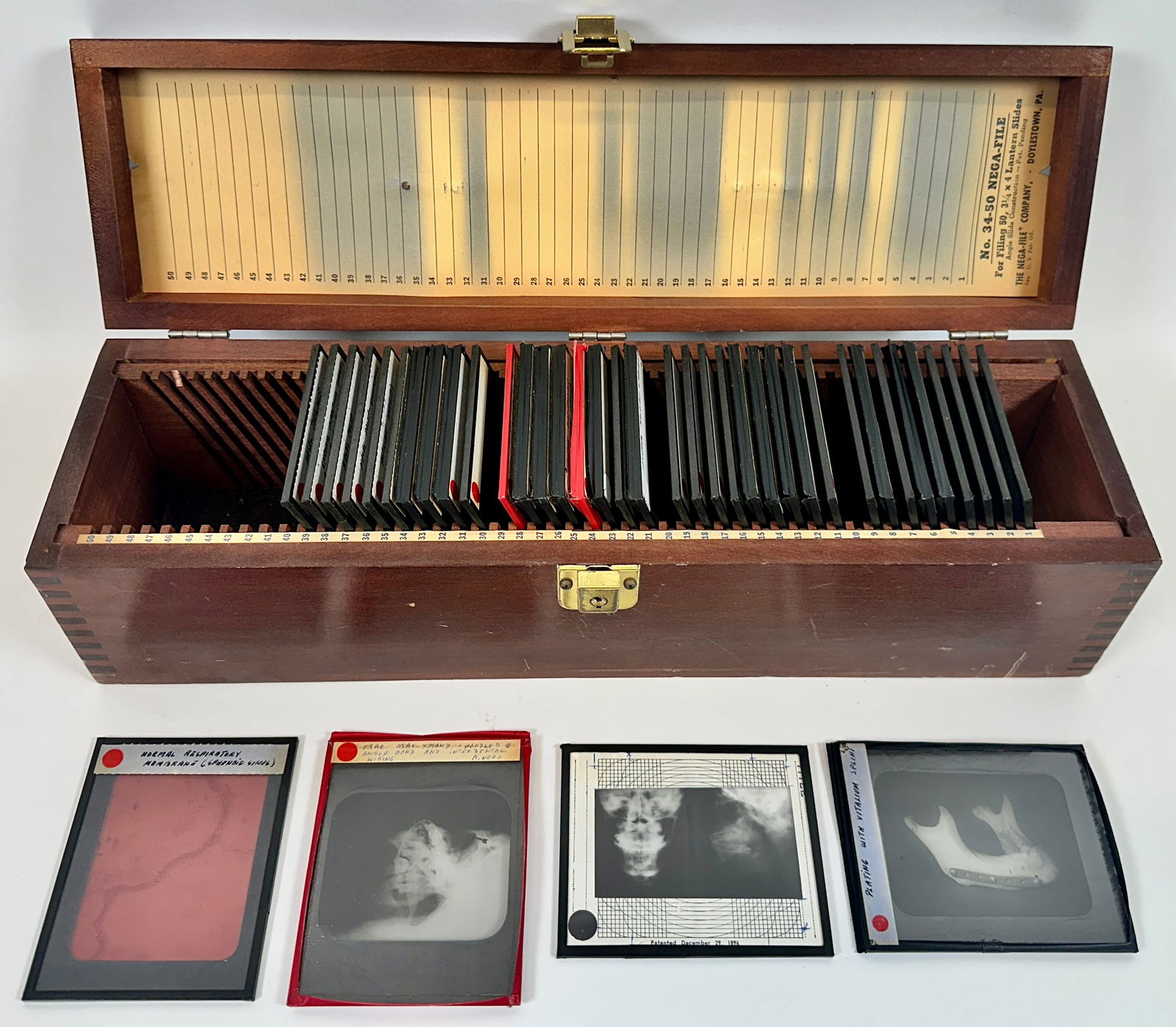 Anatomical Views on Glass Slides (1 of 3)