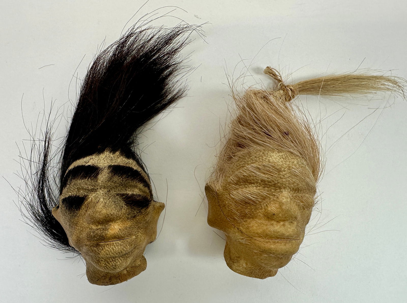 Models of a Shrunken Head (1 of 1)