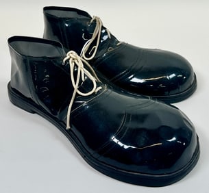 Novelty clown shoes