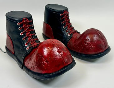 Novelty Animated Clown Shoes