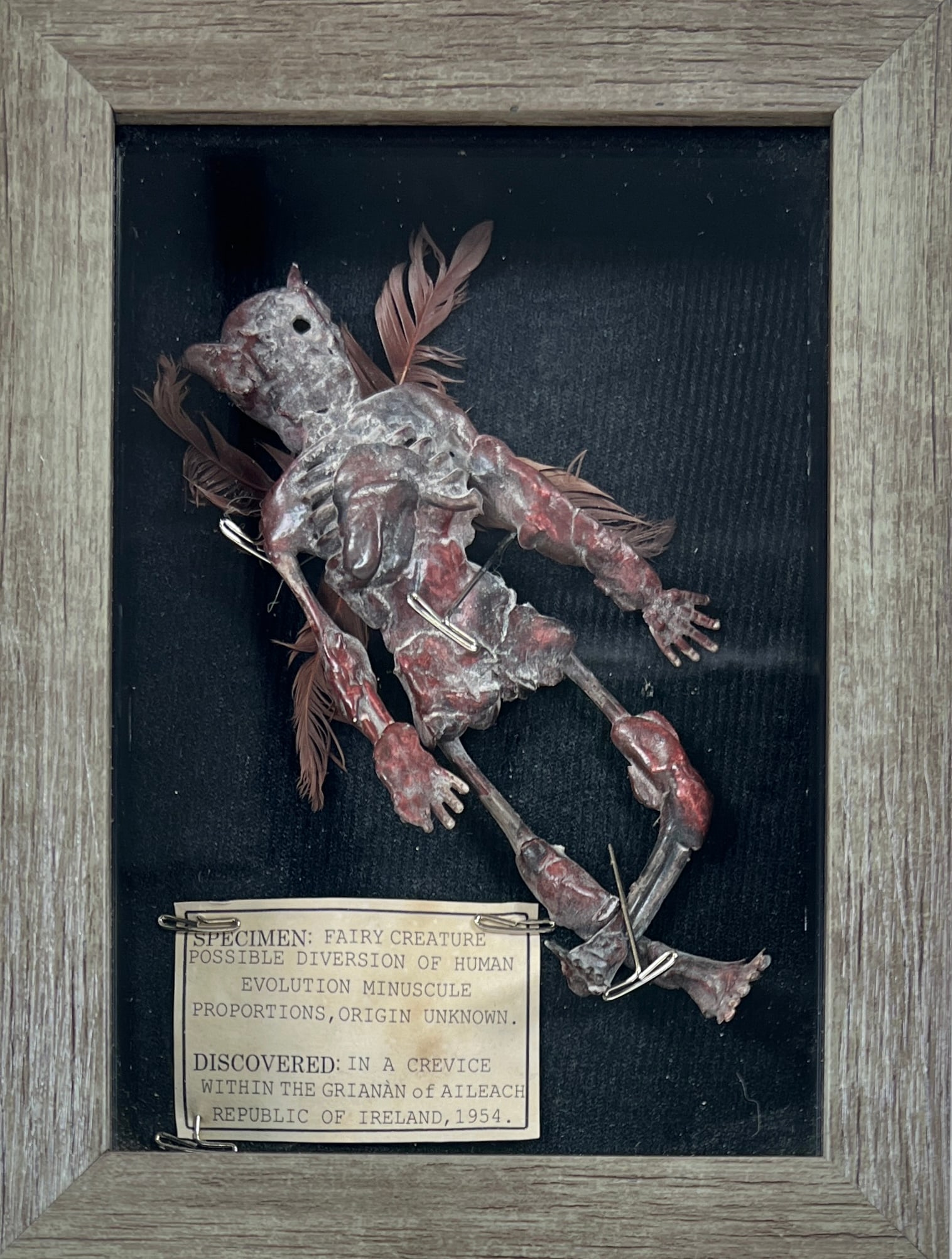 Fairy Creature Sideshow Gaff (1 of 1)