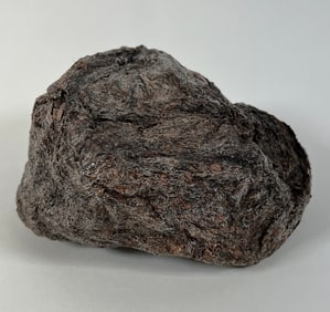 Specimen of Dried Elephant Feces
