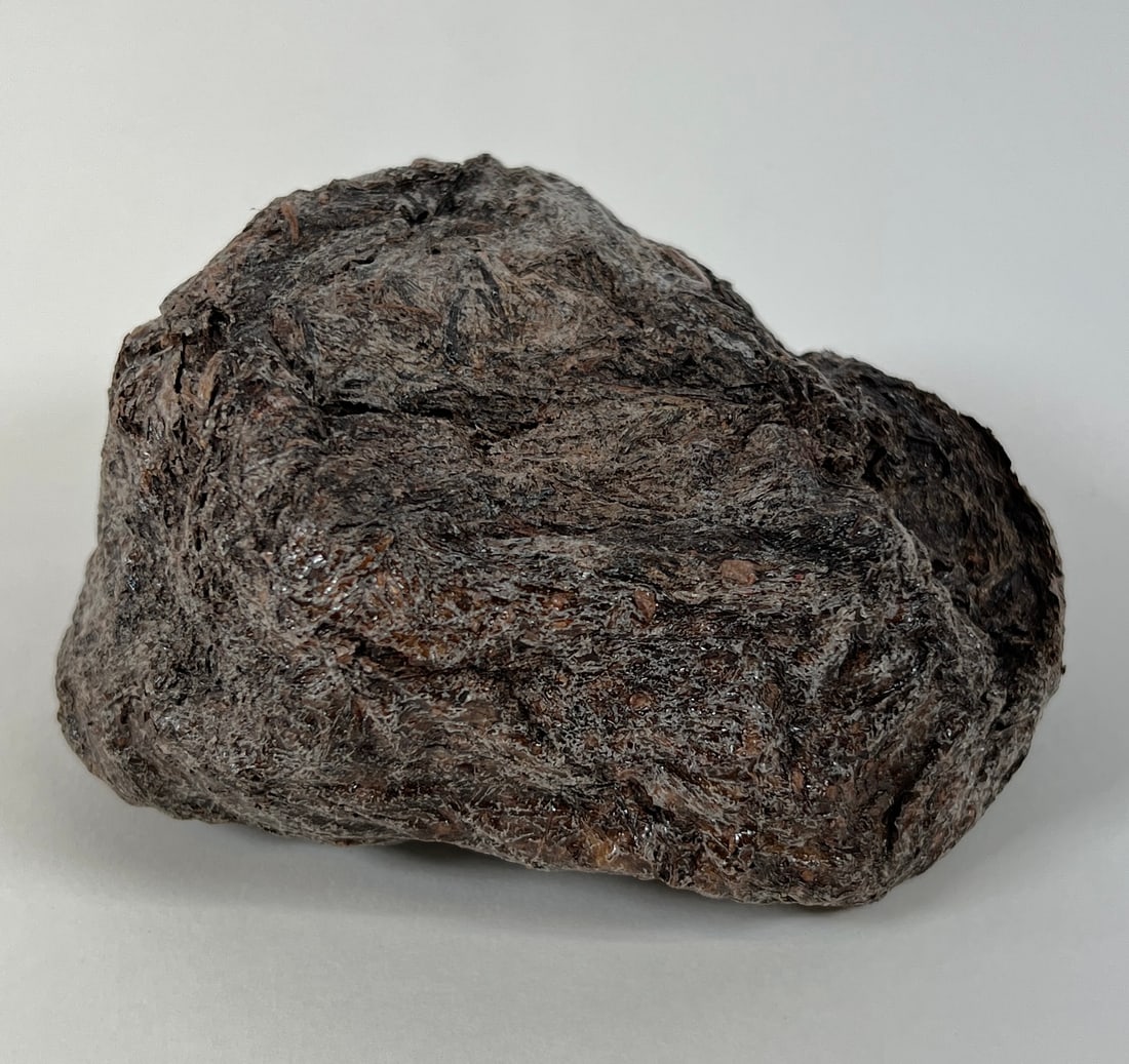 Specimen of Dried Elephant Feces: Mounted in acrylic box display. 5"x4"x4"