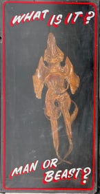 Fiji Mermaid - Devil Fish - What is it? Man or Beast