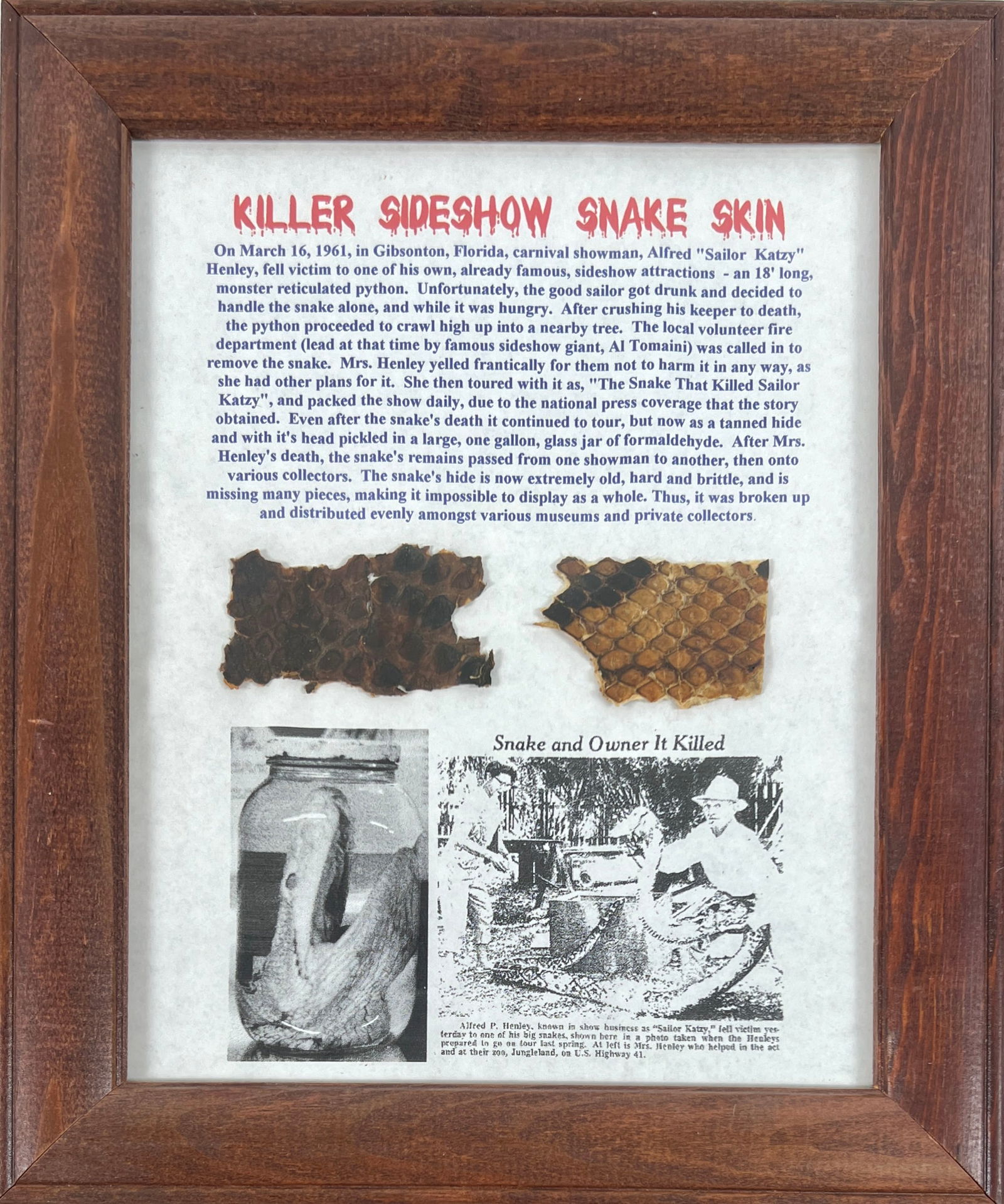 The Skin of a Killer Sideshow Snake (1 of 2)