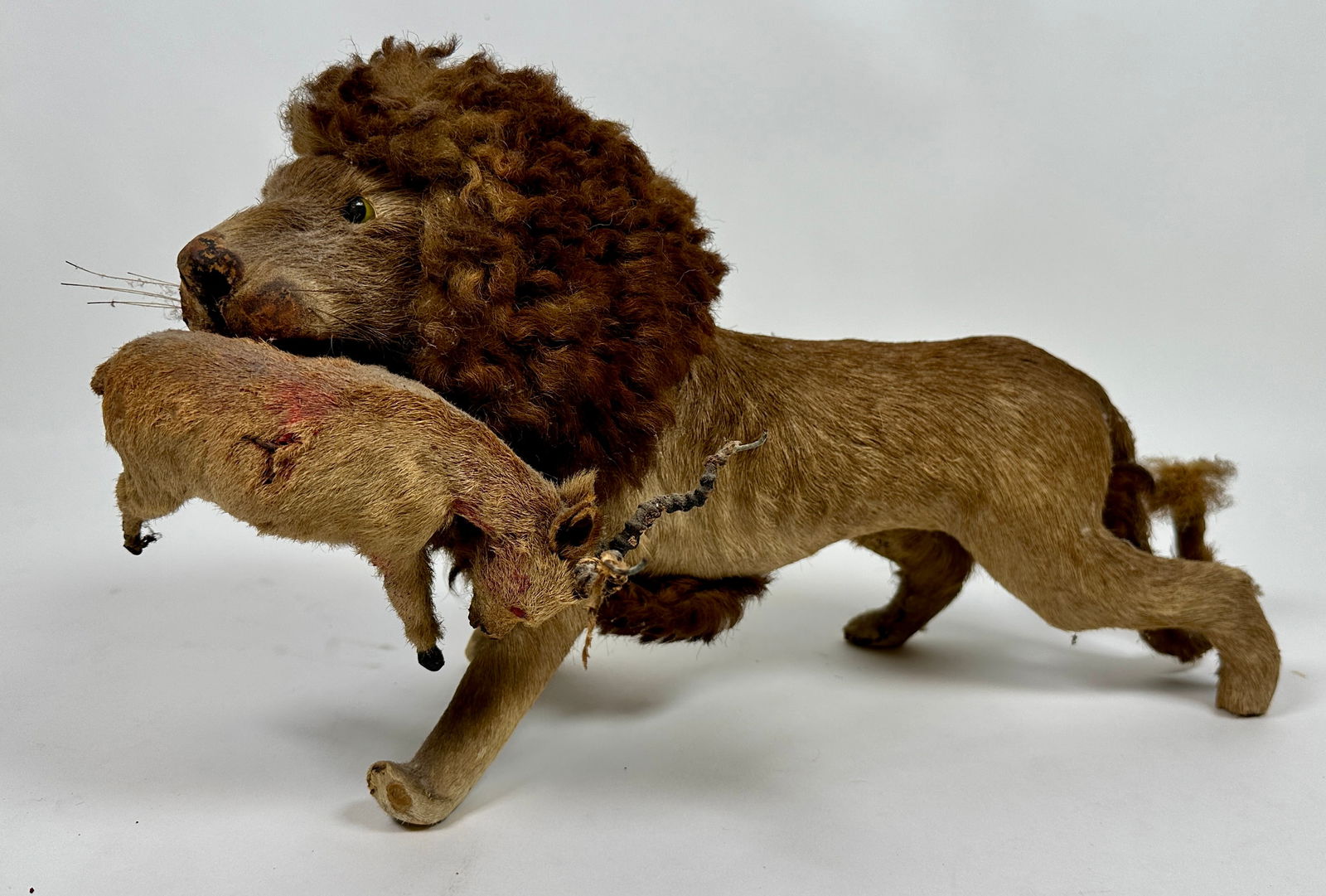 Diminutive Taxidermy Lion Hunt (1 of 4)
