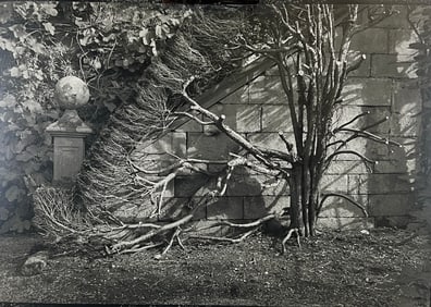 WILLIAM CLIFT (ATTR.) PHOTOGRAPH