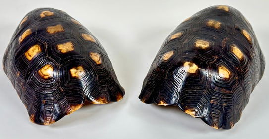 PAIR OF ANTIQUE TURTLE TORTOISE SHELLS