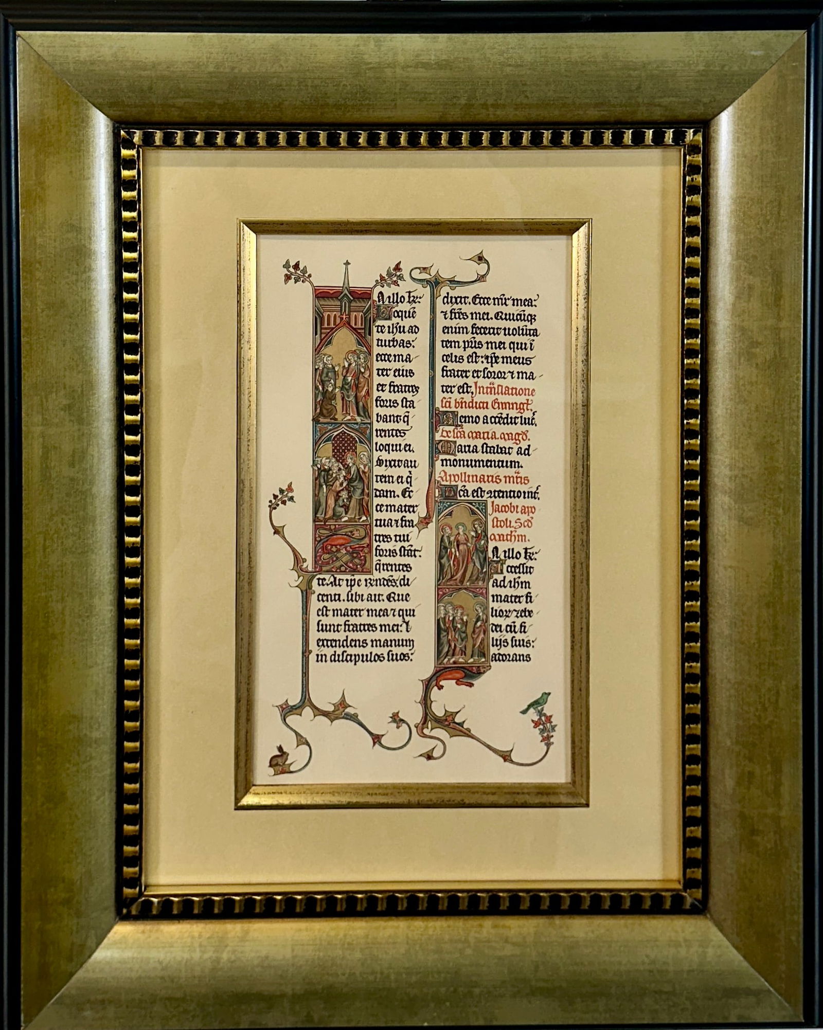 FRENCH TREATISE - COLOR LITHOGRAPH (1 of 3)