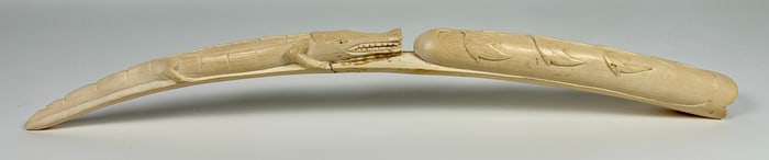 ORGANIC ALLIGATOR CARVING