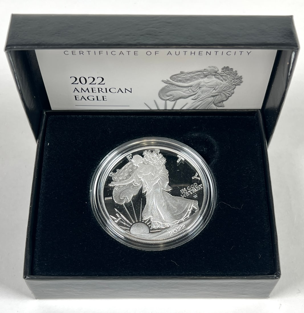 2022-S AMERICAN SILVER EAGLE PROOF COIN (1 of 1)