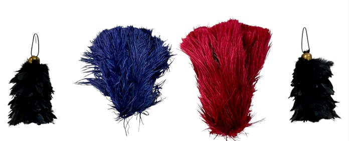 GROUPING OF CIRCUS PONY PLUMES
