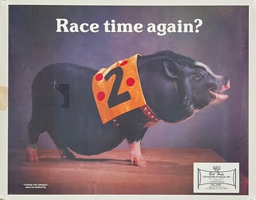 RACING PIG POSTER