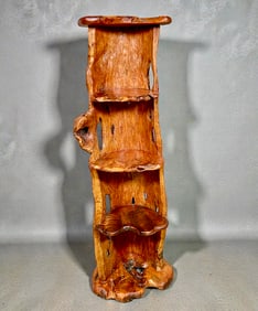 LIVE EDGE TREE TRUNK BOOK CASE