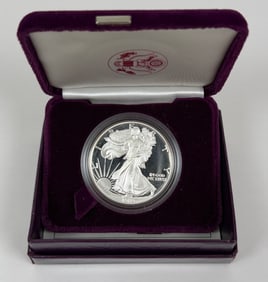 1989 U.S. AMERICAN SILVER EAGLE PROOF