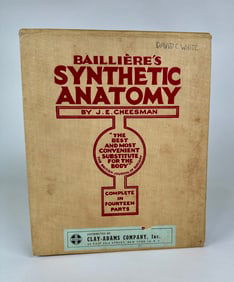 BAILLIERE'S SYNTHETIC ANATOMY - J.E. CHEESMAN