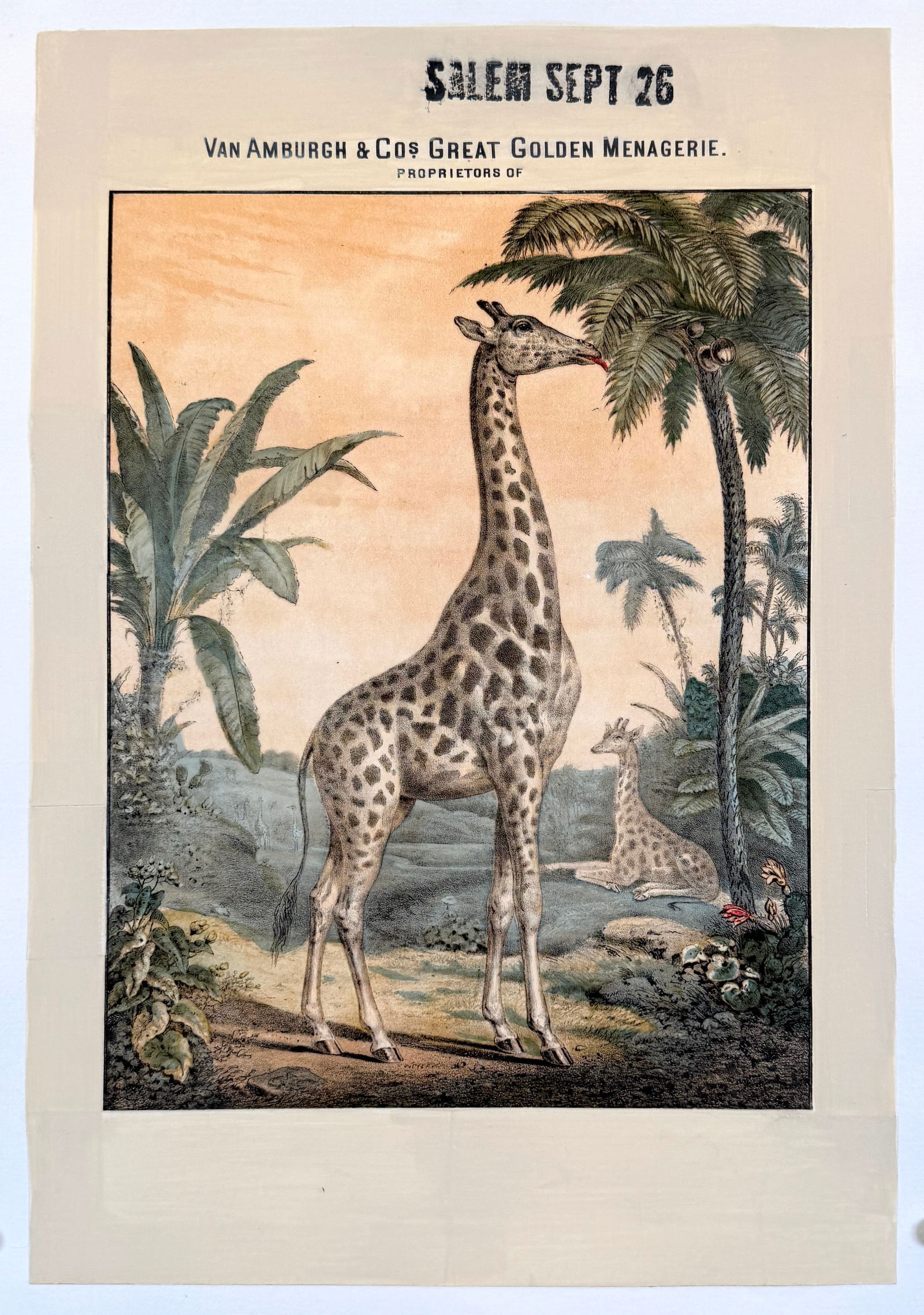 VAN AMBURGH & CO. GREAT GOLDEN MENAGERIE POSTER: ORIGINAL, AUTHENTIC LITHOGRAPH POSTER. VAN AMBURGH AND CO. GREAT GOLDEN MENAGERIE DATE POSTER FEATURING A GRAZING AND RECLINING GIRAFFE. SHOWING AT SALEM, C.1870. QUARTER SHEET. PROFESSIONALLY
